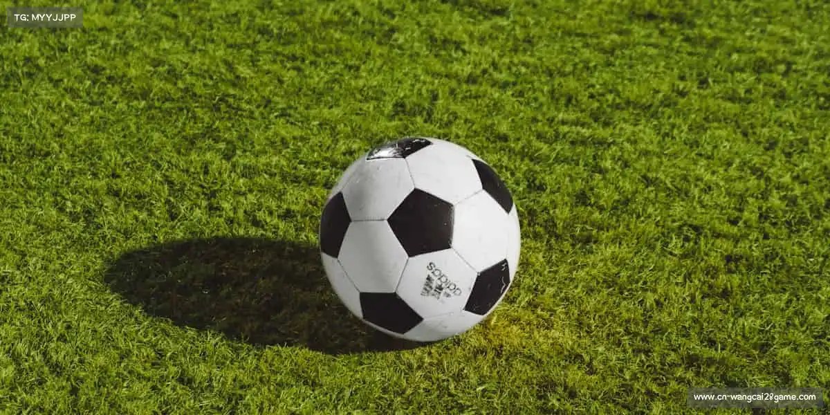 我们的品牌价值